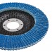 RAIDER Δίσκος φυλλαράκι Φ125 G60 164132 RAIDER Δίσκος φυλλαράκι Φ125 G60 164132