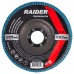RAIDER Δίσκος φυλλαράκι Φ125 G60 164132 RAIDER Δίσκος φυλλαράκι Φ125 G60 164132