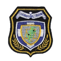 ΣΗΜΑ ΕΛΛΗΝΙΚΗΣ ΑΣΤΥΝΟΜΙΑΣ 