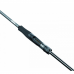 ΚΑΛΑΜΙ SPINNING DAIWA Exceler 25 2.44m 8-30gr