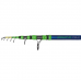 ΚΑΛΑΜΙ CASTING GOLDEN CATCH Armatur Tele 3.30m 50-150g