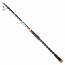 ΚΑΛΑΜΙ SPINNING DAIWA Crossfire SL 3.00m 15-60gr